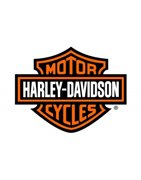 Escapes Akrapovic Harley-Davidson | Homologados y Racing