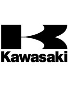 Escapes Akrapovic Kawasaki | Homologados y Racing