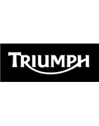 Escapes Akrapovic Triumph | Homologados y Racing