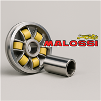 Variador Malossi
