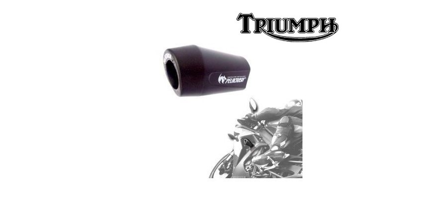 Triumph Pelacrash