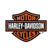 Disco Delantero TRW Harley-Davidson | Discos Freno Custom y Touring