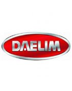 Anclaje Baúl SHAD Daelim
