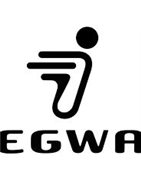 Anclaje Baúl SHAD Segway