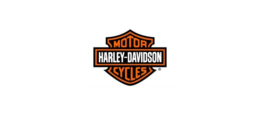 Retrovisores Harley Davidson