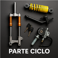 PARTE CICLO