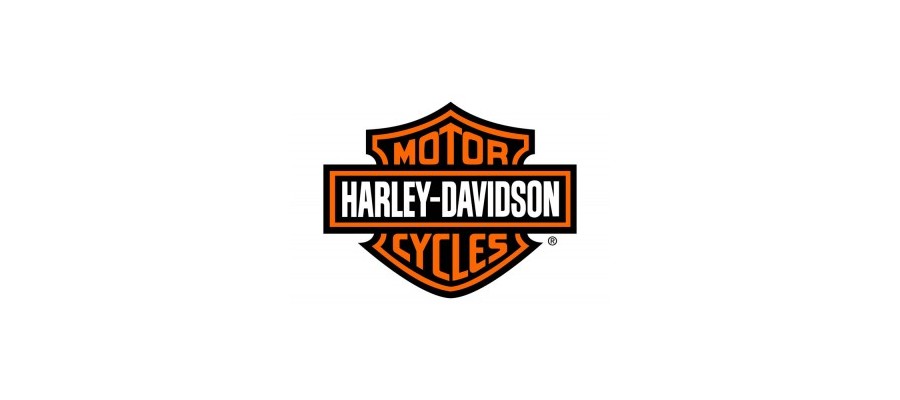 HARLEY DAVIDSON MOTOR ARRANQUE