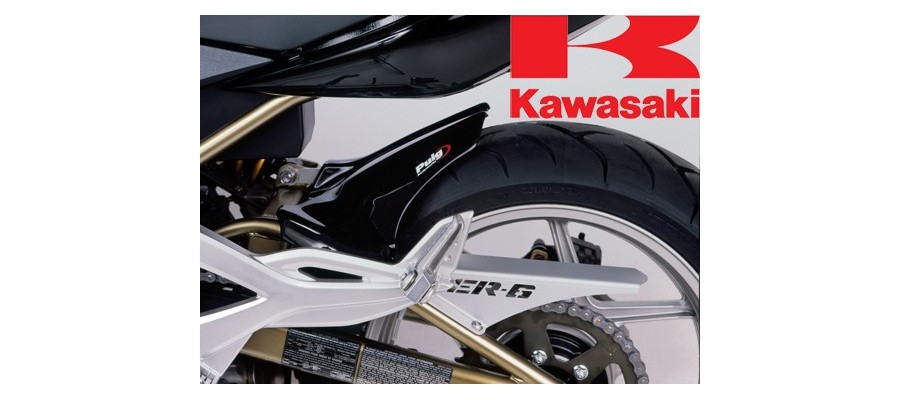 Kawasaki Puig